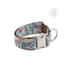BROTT Collier Pour Chien Perelada