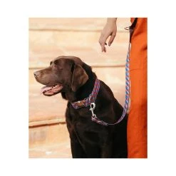 BROTT Laisse Pour Chien Satuna 3 BROTT Laisse Pour Chien Satuna -dog food shop collar perro estampado textura satuna b162b343 2cca 4d11 89d2 01902a5477c1
