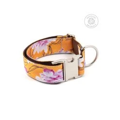 BROTT Collier Pour Chien Teia