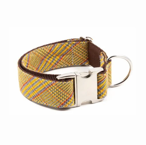 BROTT Collier Pour Chien Salardu