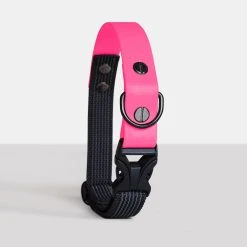 Ringhio Collier DUO Biothane Technique Pour Chien