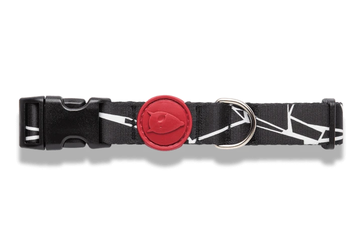 Morso Collier Pour Chien Broken Self 2 Morso Collier Pour Chien Broken Self – Image 2