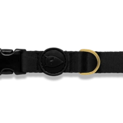 Morso Collier Pour Chien Gold Caviar -dog food shop collare gold caviar header top transparent 02 b