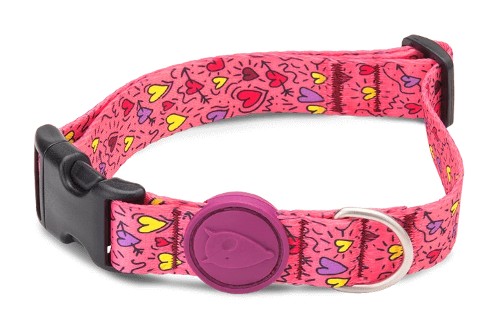 Morso Collier Pour Chien Pink Think 1 Morso Collier Pour Chien Pink Think