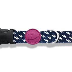 Alternative view of Morso Collier Pour Chien Power Flow