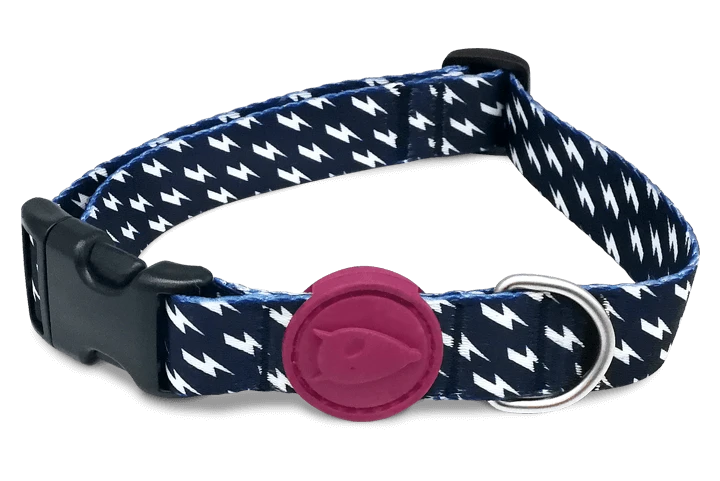 Morso Collier Pour Chien Power Flow 1 Morso Collier Pour Chien Power Flow