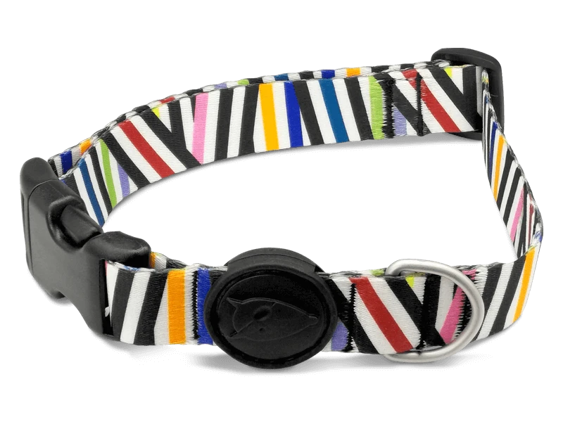 Morso Collier Pour Chien Spaghetti 2 Morso Collier Pour Chien Spaghetti – Image 2