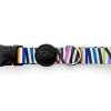 Morso Collier Pour Chien Spaghetti