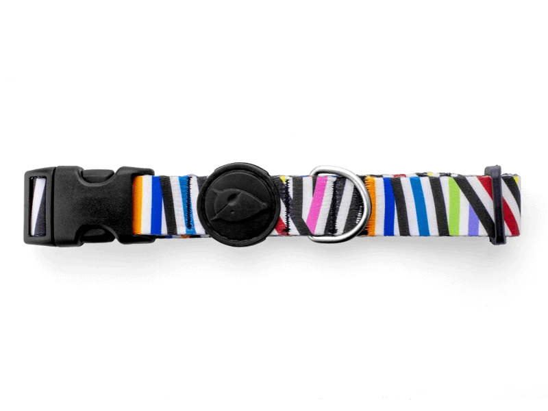 Morso Collier Pour Chien Spaghetti 1 Morso Collier Pour Chien Spaghetti