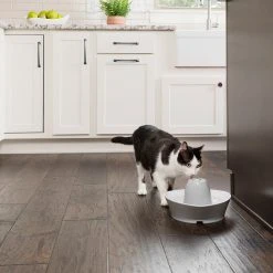PetSafe Fontaine à Eau Streamside 3 PetSafe Fontaine à Eau Streamside -dog food shop creekside c1 1024x1024 2x 407f6637 891e 44bd 8def e7134cb4d12f