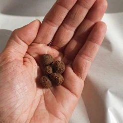 Alternative view of FUNGFEED Croquettes Aux Insectes Pour Chat