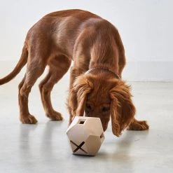 Alternative view of MiaCara Jeu D’occupation Pour Chien Dado