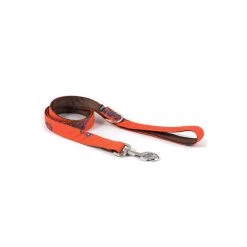 BROTT Collier Pour Chien Bohème Batea -dog food shop dog collar brottdog textura batea 39b216ca 52f7 4863 b2b2 46ff3aca9036