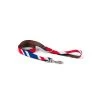 BROTT Laisse Pour Chien Beleser