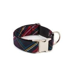 BROTT Collier Pour Chien écossais Cerdanya