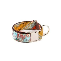 BROTT Collier Pour Chien Sacaleta Classique Et Martingale