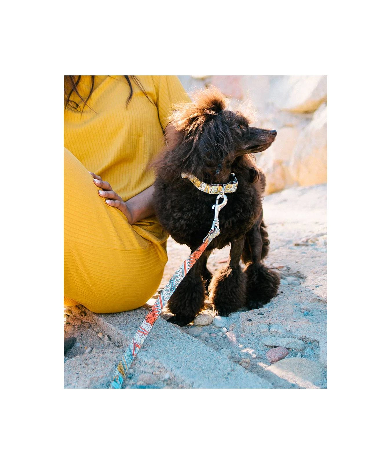 BROTT Collier Pour Chien Sacaleta Classique Et Martingale 3 BROTT Collier Pour Chien Sacaleta Classique Et Martingale – Image 3