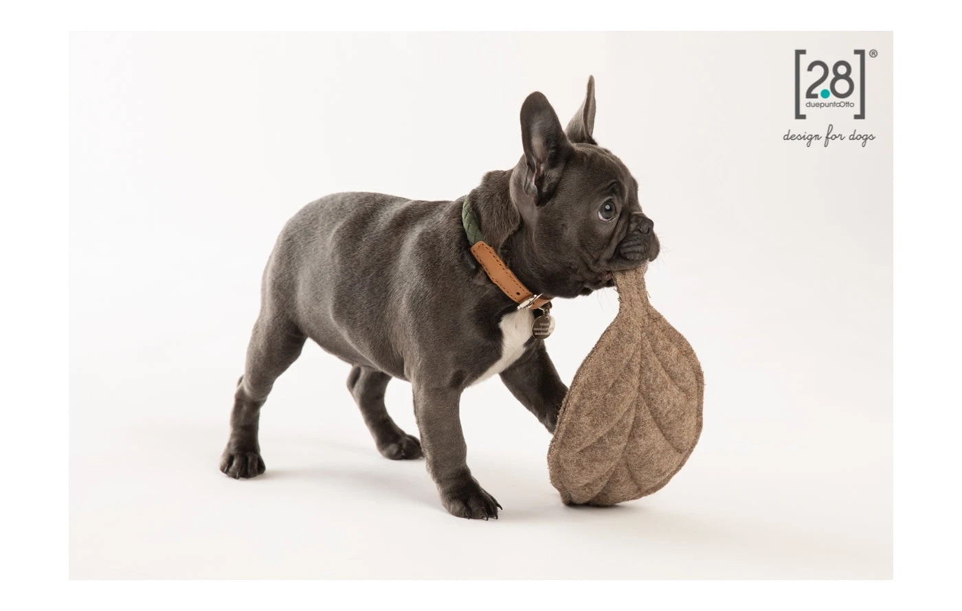 2.8 Duepuntootto Peluches Pour Chien Feuilles D’arbre 2 2.8 Duepuntootto Peluches Pour Chien Feuilles D’arbre – Image 2