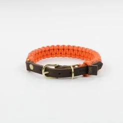 Molly And Stitch Collier Pour Chien En Corde Marine Sangle Cuir 10 Molly And Stitch Collier Pour Chien En Corde Marine Sangle Cuir -dog food shop dsc 0214 1