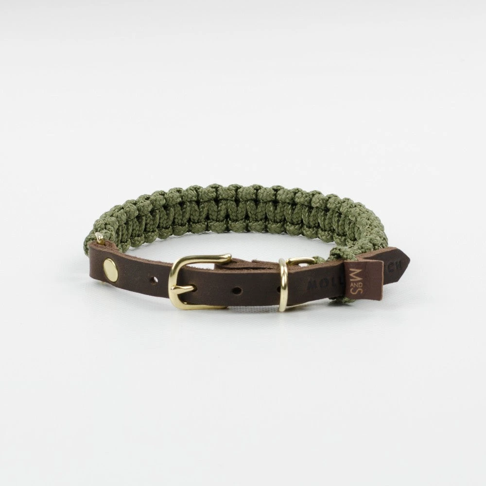 Molly And Stitch Collier Pour Chien En Corde Marine Sangle Cuir 1 Molly And Stitch Collier Pour Chien En Corde Marine Sangle Cuir
