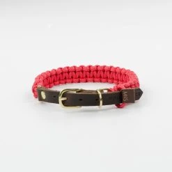 Molly And Stitch Collier Pour Chien En Corde Marine Sangle Cuir 11 Molly And Stitch Collier Pour Chien En Corde Marine Sangle Cuir -dog food shop dsc 0221 1