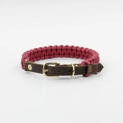 Molly And Stitch Collier Pour Chien En Corde Marine Sangle Cuir 14 Molly And Stitch Collier Pour Chien En Corde Marine Sangle Cuir -dog food shop dsc 0224 1