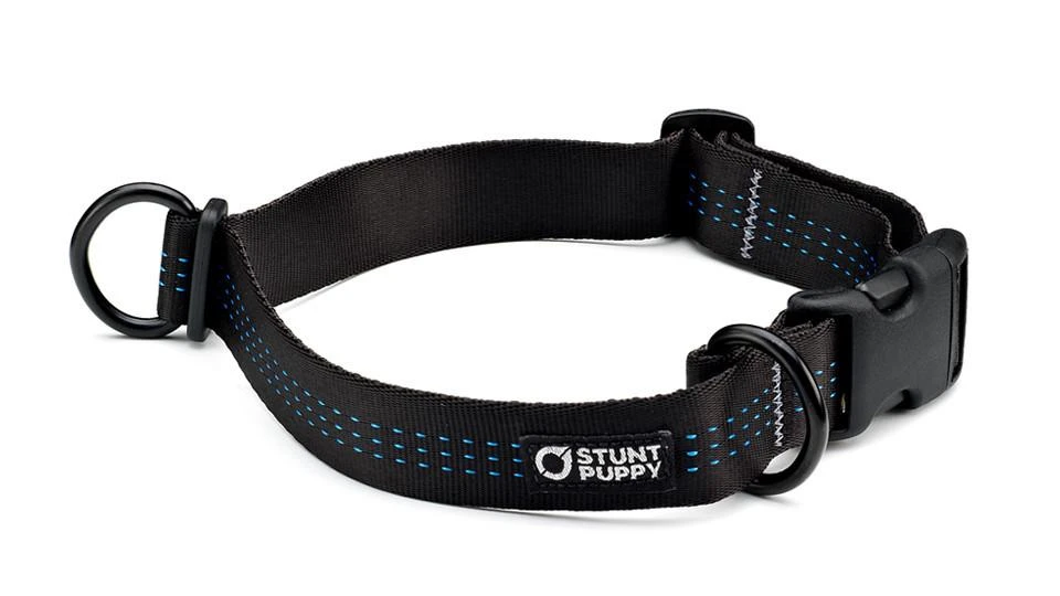 Stunt Puppy Collier Pour Chien Souple Everyday (3 Couleurs) 3 Stunt Puppy Collier Pour Chien Souple Everyday (3 Couleurs) – Image 3