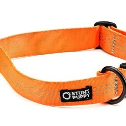 Alternative view of Stunt Puppy Collier Pour Chien Souple Everyday (3 Couleurs)