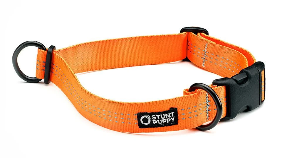 Stunt Puppy Collier Pour Chien Souple Everyday (3 Couleurs) 2 Stunt Puppy Collier Pour Chien Souple Everyday (3 Couleurs) – Image 2