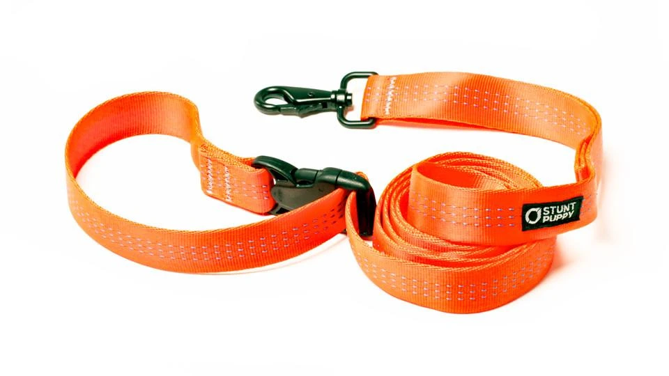 Stunt Puppy Laisse Souple Everyday (3 Couleurs) 3 Stunt Puppy Laisse Souple Everyday (3 Couleurs) – Image 3