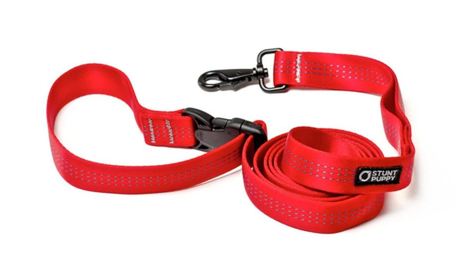 Stunt Puppy Laisse Souple Everyday (3 Couleurs) 1 Stunt Puppy Laisse Souple Everyday (3 Couleurs)