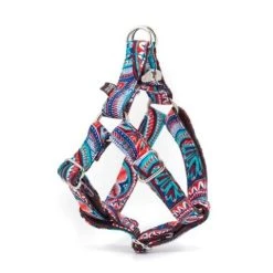 BROTT Harnais Parachute Pour Chien Estartit