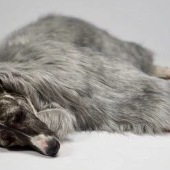 Labbvenn Couverture En Fausse Fourrure Fora -dog food shop foera blanket