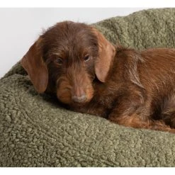2.8 Duepuntootto Coussin Apaisant Pour Chien En Laine -dog food shop fulvio wool cushions abba2ee1 7ecc 4a5a a15c 969544bd6308