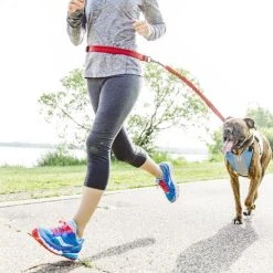 Stunt Puppy Harnais De Running Pour Chien -dog food shop gdg ha img02b 720x 9793ec3d b28b 4bf2 84c1 e1b0b67bc0ca