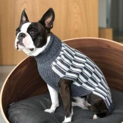 MiaCara Pull Pour Chien Giulia -dog food shop giulia grey life 1024x f7070200 1947 4996 b7bd dbb8e7167074