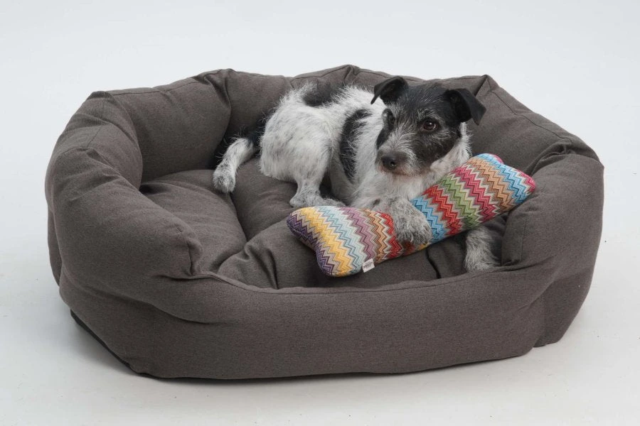 Dogs In The City Lit Ovale Loomi 8 Dogs In The City Lit Ovale Loomi – Image 8