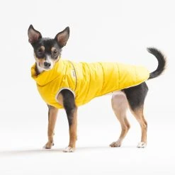 Woofit Doudoune Pour Chien -dog food shop il 1140xN.1709340756 e1zk 6e986759 b355 45a3 80a8 2045f06f5fa7
