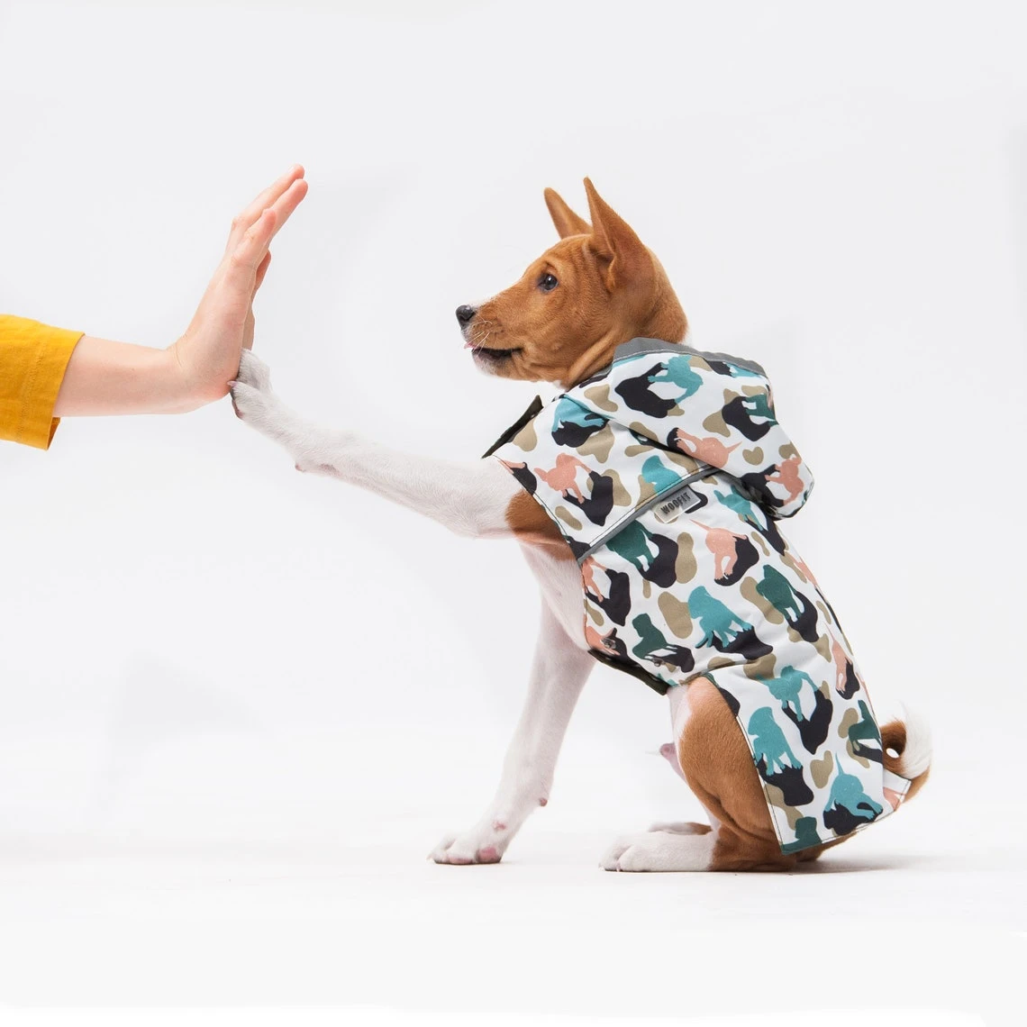 Woofit Imperméable Pour Chien Toutes Tailles 19 Woofit Imperméable Pour Chien Toutes Tailles – Image 19