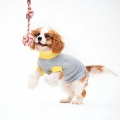 Alternative view of Woofit T-shirt En Jersey