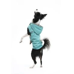Woofit Imperméable Pour Chien Toutes Tailles 29 Woofit Imperméable Pour Chien Toutes Tailles -dog food shop il 570xN.2047978822 9xm9
