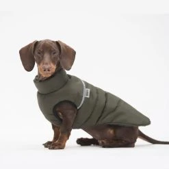 Woofit Doudoune Pour Chien