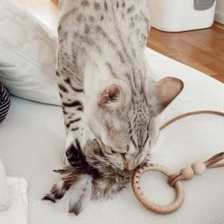 Labbvenn Jouet Pour Chat Tollo 8 Labbvenn Jouet Pour Chat Tollo -dog food shop image 07633c04 4c32 476d b243 4dbff6aedd1c