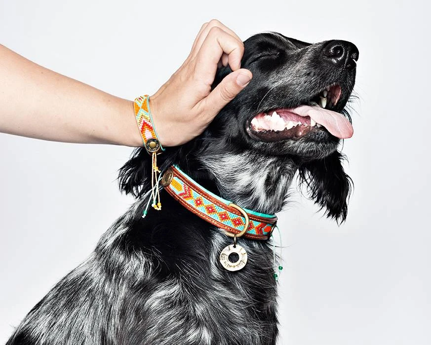 Dog With A Mission Collier En Cuir Paddy Lee Dwam 5 Dog With A Mission Collier En Cuir Paddy Lee Dwam – Image 5