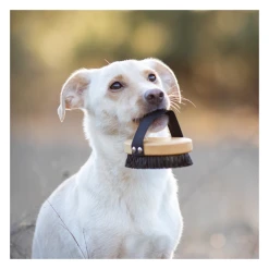 Brosse Pour Poils Courts Lila Loves It -dog food shop image 3b0cdc38 ad07 4ef0 991c 0d279b6b653c