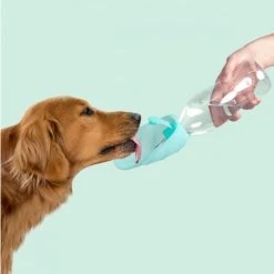 United Pets Gourde Pour Chien Avec Distributeur D’eau 9 United Pets Gourde Pour Chien Avec Distributeur D’eau -dog food shop image da096c9f e155 4014 a19b 6373ed4b7a8d