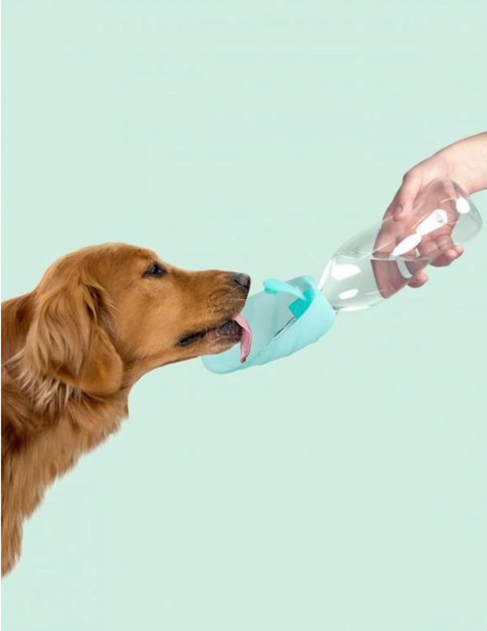 United Pets Gourde Pour Chien Avec Distributeur D’eau 4 United Pets Gourde Pour Chien Avec Distributeur D’eau – Image 4