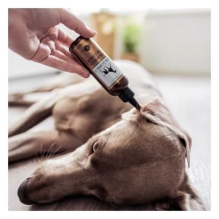 Lila Loves It Soin Nettoyant Oreilles Pour Chien Et Chat 5 Lila Loves It Soin Nettoyant Oreilles Pour Chien Et Chat -dog food shop image e04bc068 89ef 47db ac6a 06c83cef2bfc