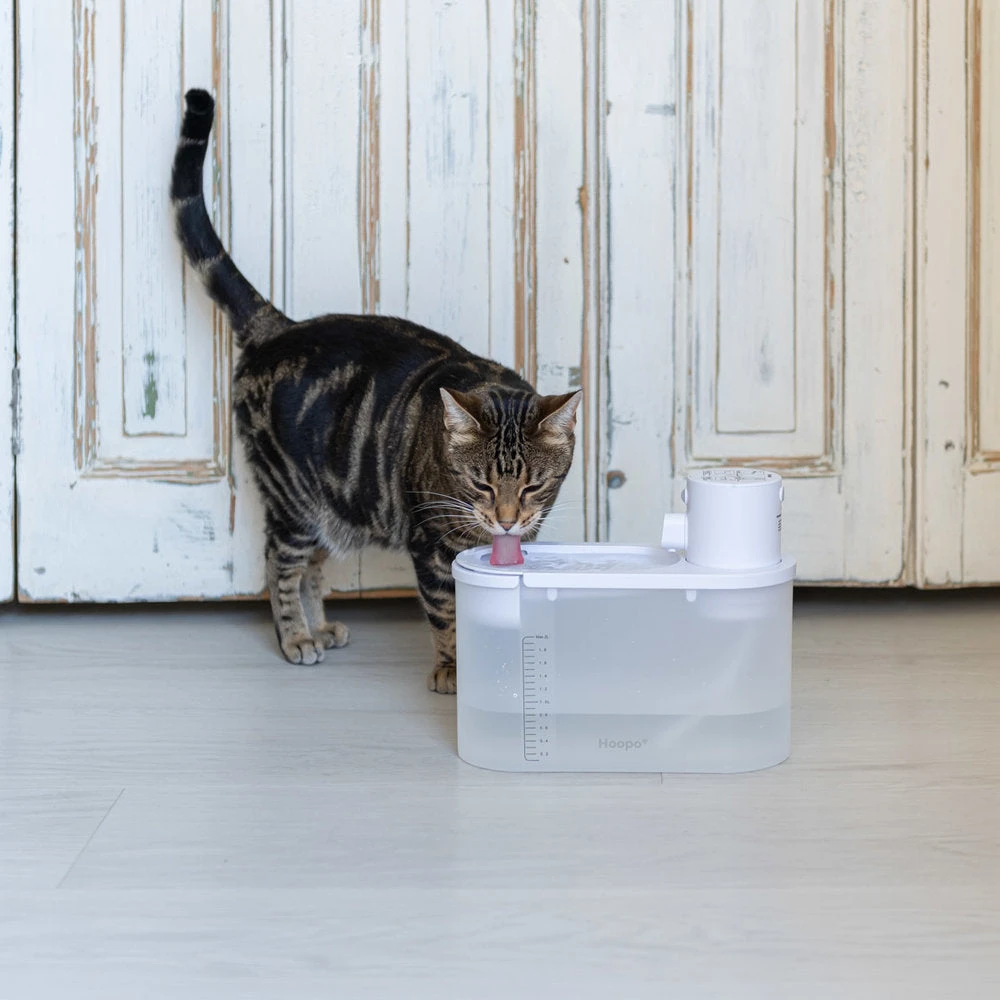 Hoopo Fontaine à Eau Pour Chat Silencieuse Agua 3 Hoopo Fontaine à Eau Pour Chat Silencieuse Agua – Image 3