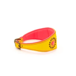 Dog With A Mission Collier Pour Lévrier En Cuir Dwam 13 Dog With A Mission Collier Pour Lévrier En Cuir Dwam -dog food shop image ffcda4cc 3ad2 4db2 9e9f 1c7f41214079